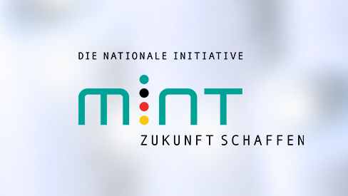 Logo Mint die Nationale Initiative Zukunft schaffen 