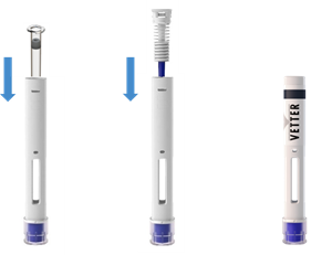 How to place a syringe in an autoinjector