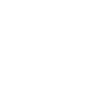 Icon Glühbirne weiß 
