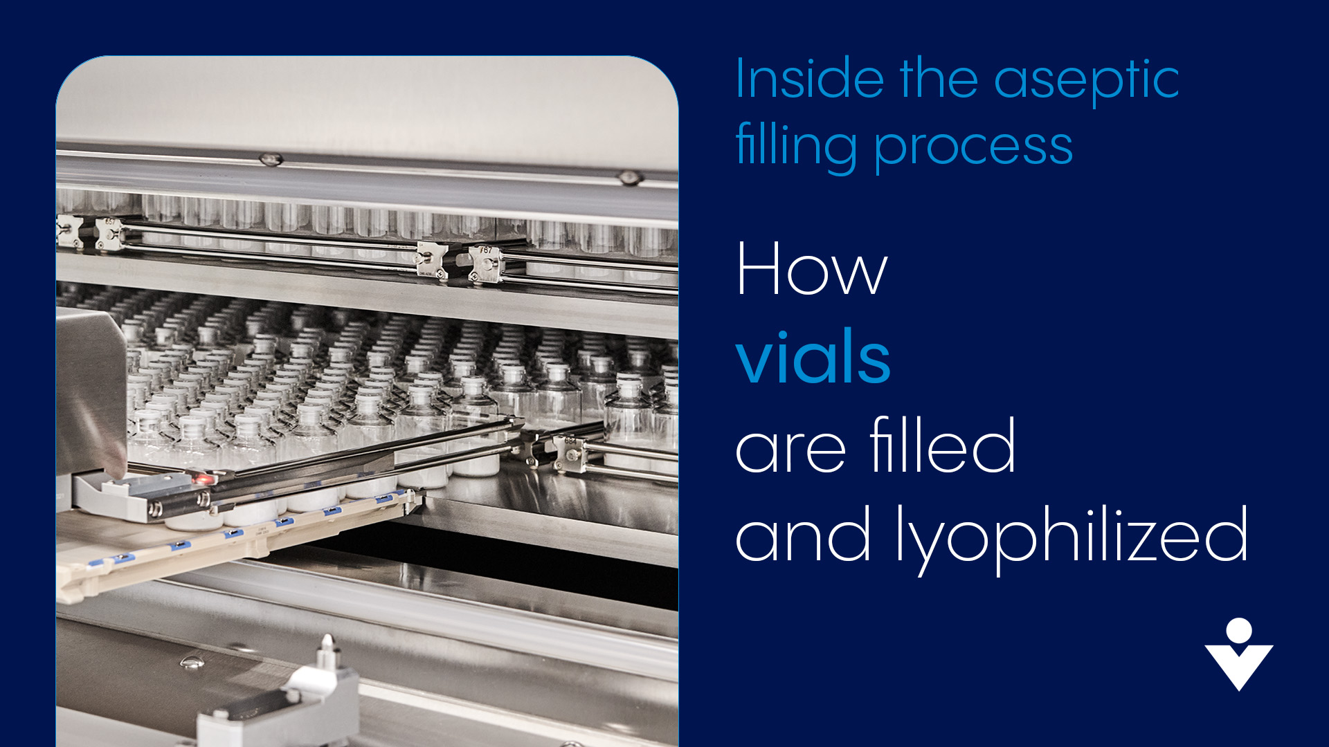 Lyo vial filling process