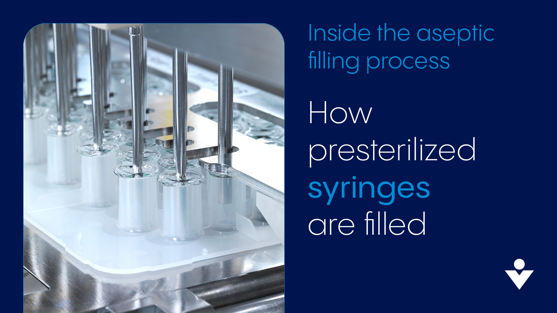 Presterilized syringe filling process