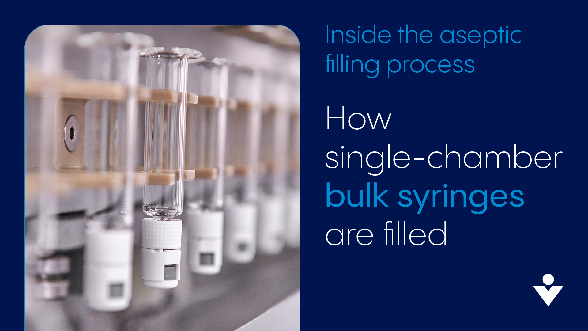 Bulk syringe filliing process